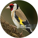 manuel martinez lopez profile picture